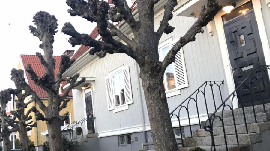 Idé om räckerenovering